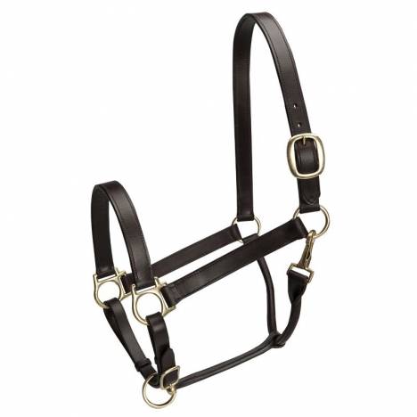 Camelot Stable Halter Horse