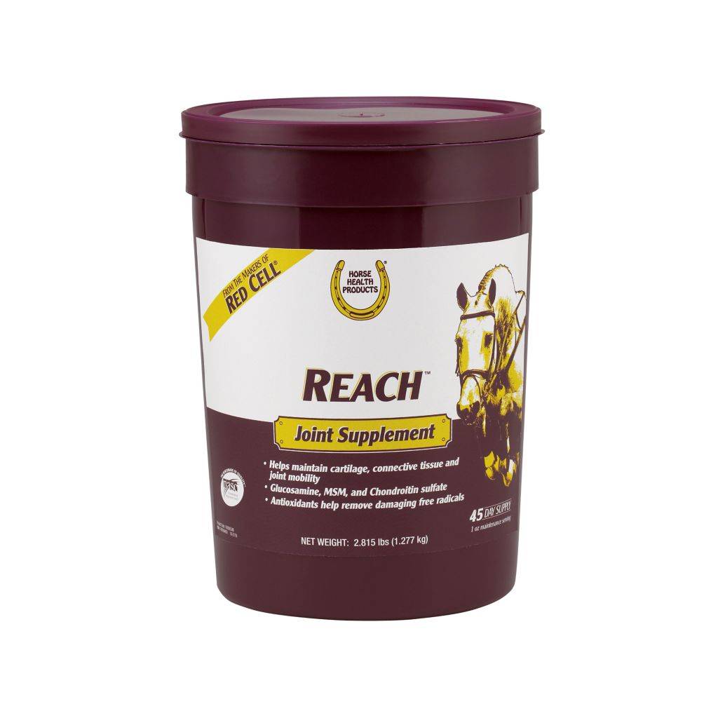 REACH JOINT SUPPLEMENT