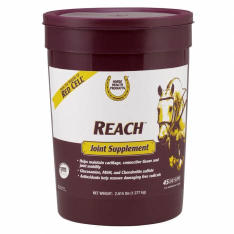 REACH JOINT SUPPLEMENT