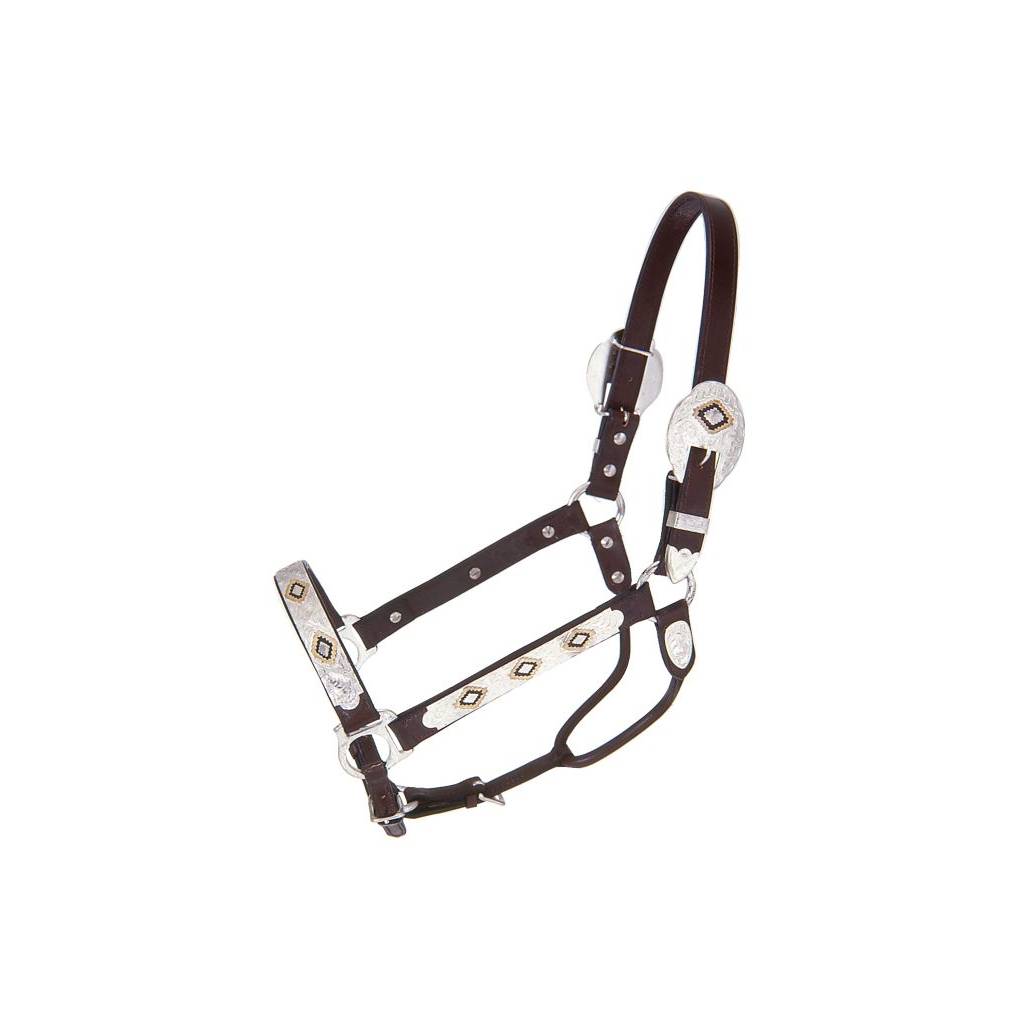 Royal King Gold & Black Silver Show Halter