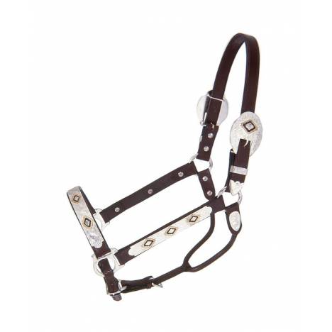 Royal King Gold & Black Silver Show Halter