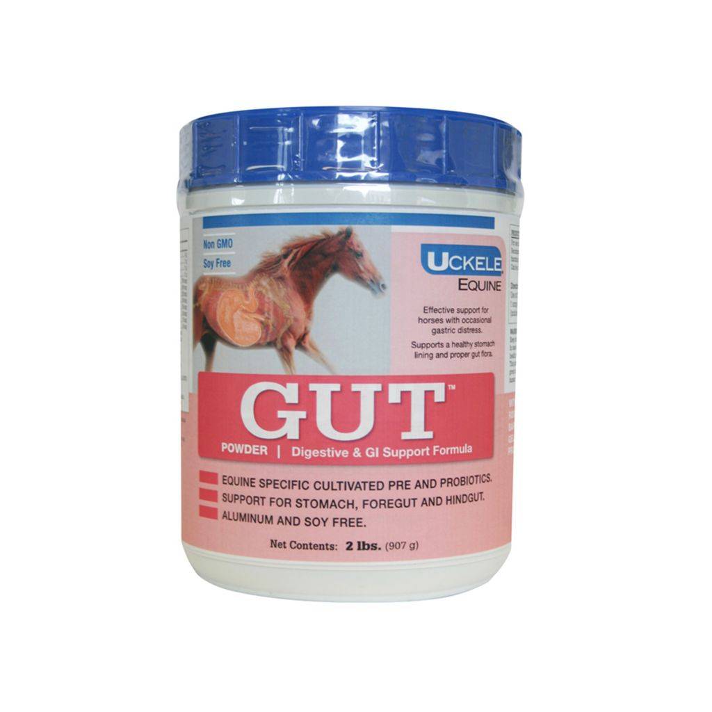 Uckele Health & Nutrition Gut Powder