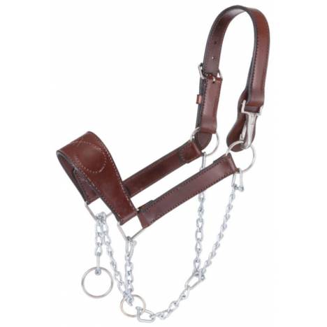 Tough1 Leather Mule Halter with Draw Chain