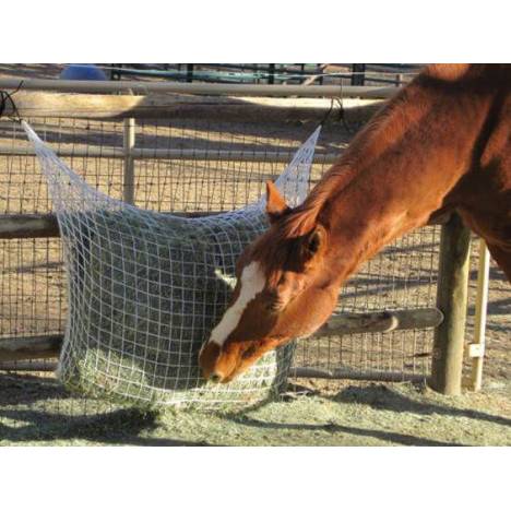 Freedom Feeder Extended Day Feeding Net/2 String Bale