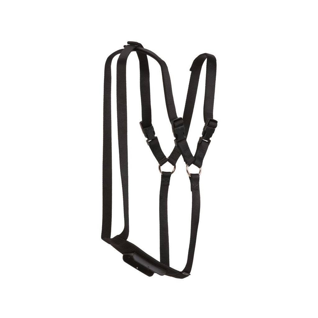 Weaver Leather Ram Marking Harness