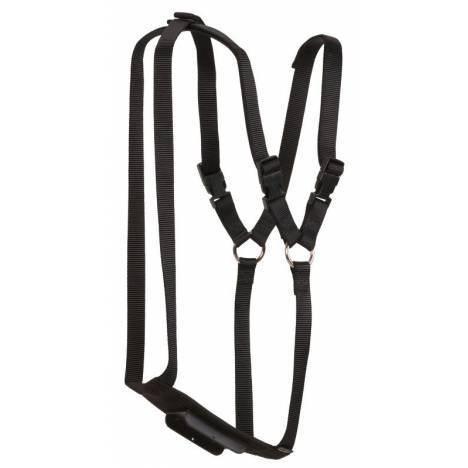 Weaver Leather Ram Marking Harness