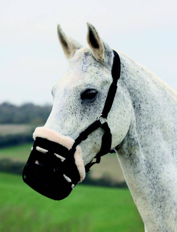 Shires Deluxe Grass Muzzle