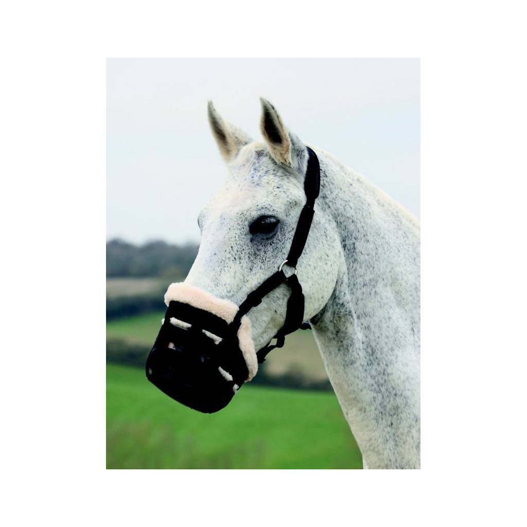 Shires Deluxe Grass Muzzle