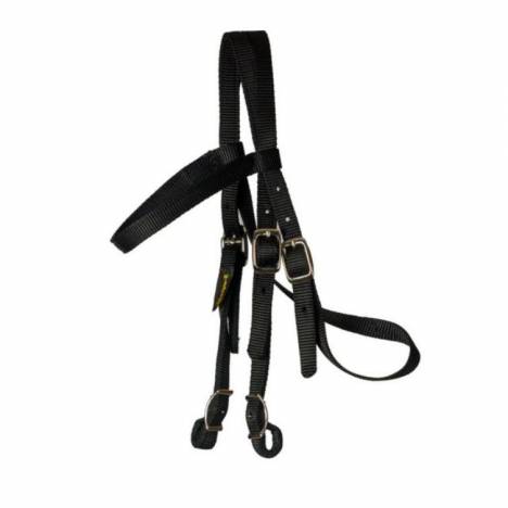 Triple E Mini Browband Headstall with Conway Buckles