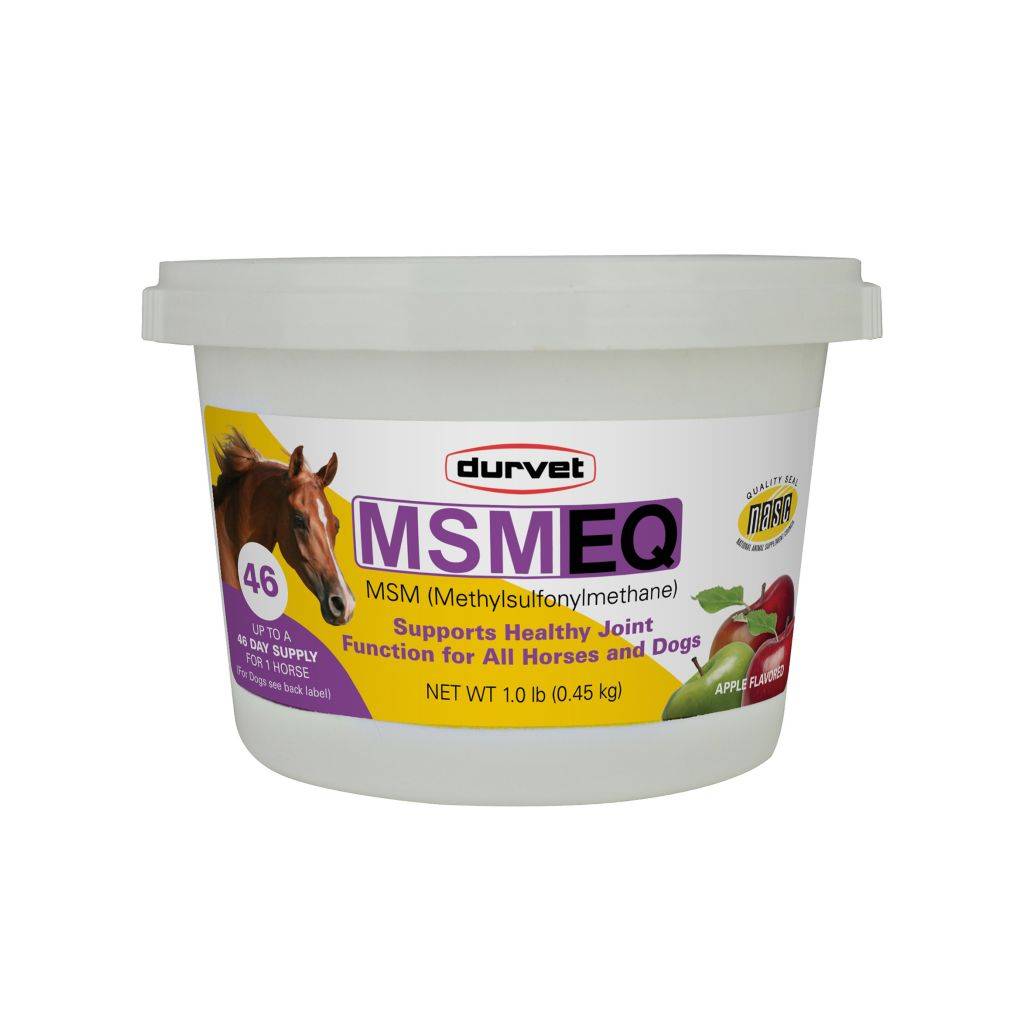 Msm Eq For Equine