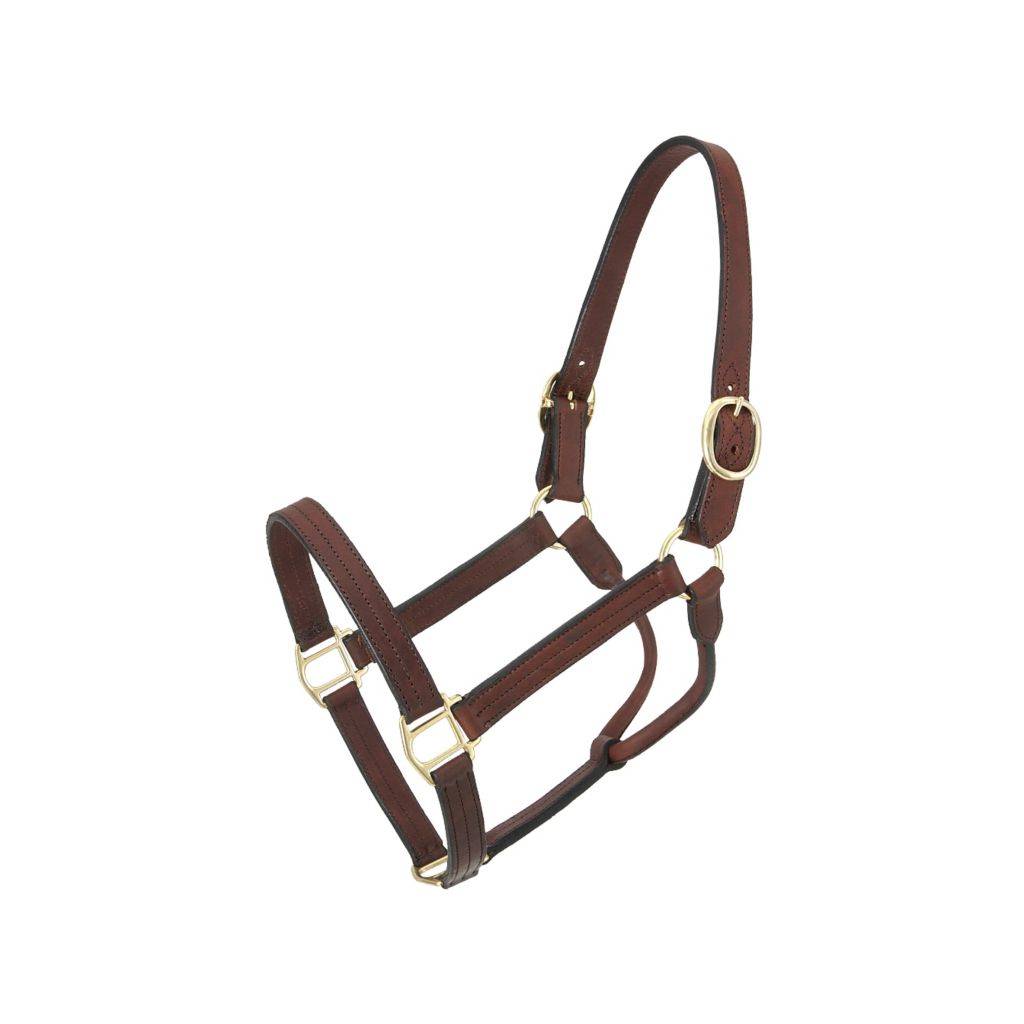 Royal King Leather Track Halter