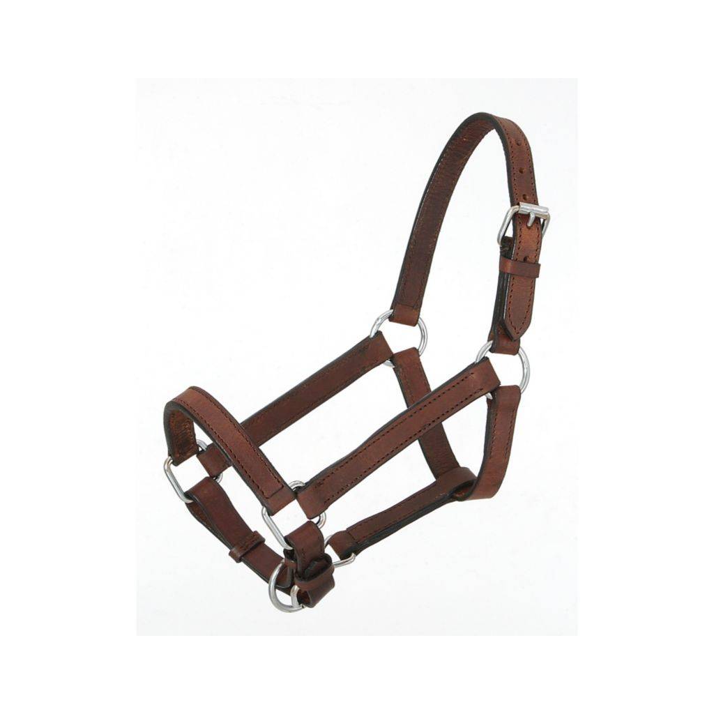 Royal King Miniature Leather Halter