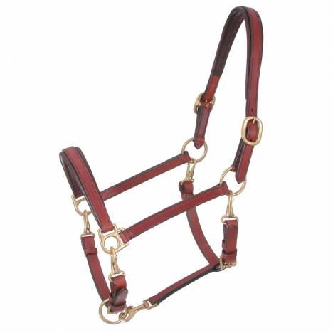 Royal King 4-Way Stable/Grooming Halter