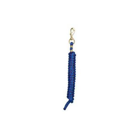 Weaver Poly Lead Rope with Brass Snap