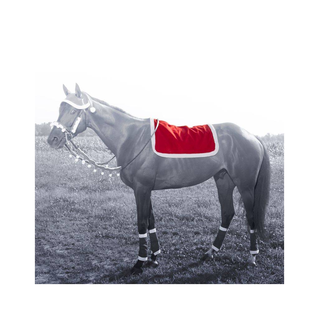 Tough-1 Santa English Pad Cover
