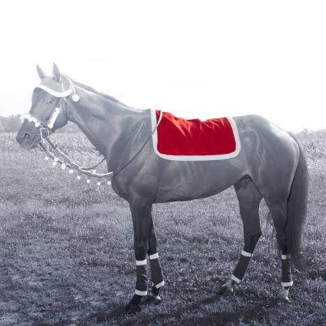 Tough-1 Santa English Pad Cover