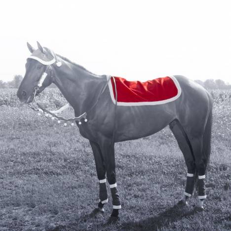 Tough-1 Santa Western Pad Cover
