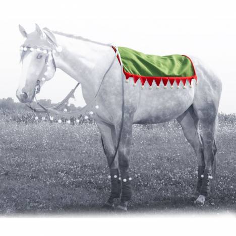 Tough-1 Elf Western Pad Cover