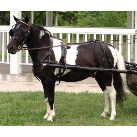 CDE Mini/Pony Formal Driving Harness Pony Chrome