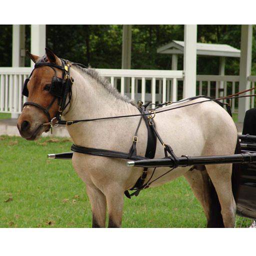 Millers Harness Show Headstall