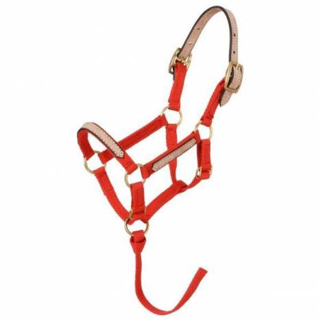 Tough-1 Miniature Horse Nylon Break-Away Halter