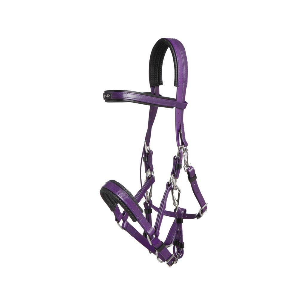 Toklat Zilco Marathon Endurance Bridle