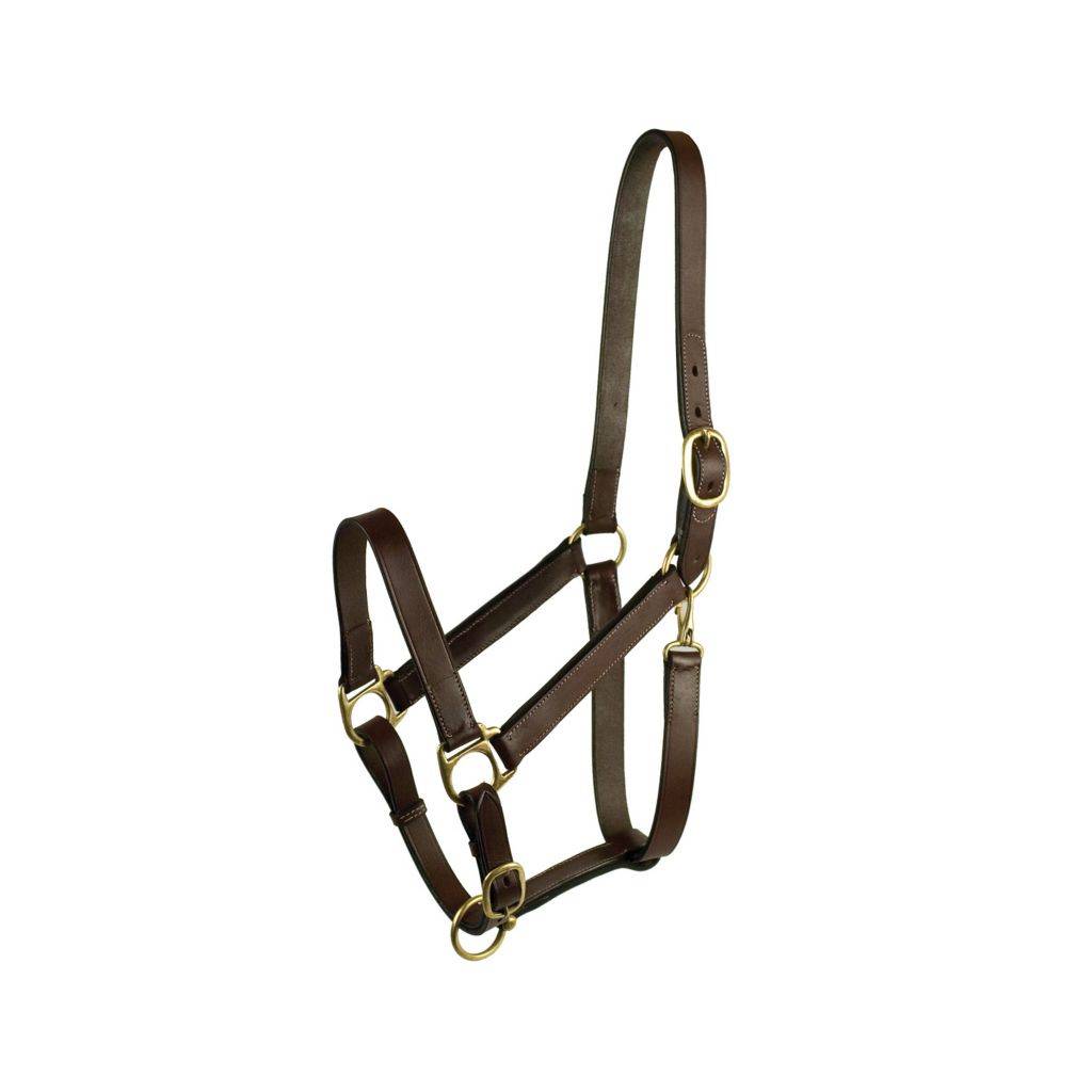 Gatsby Adjustable Turnout Halter with Snap