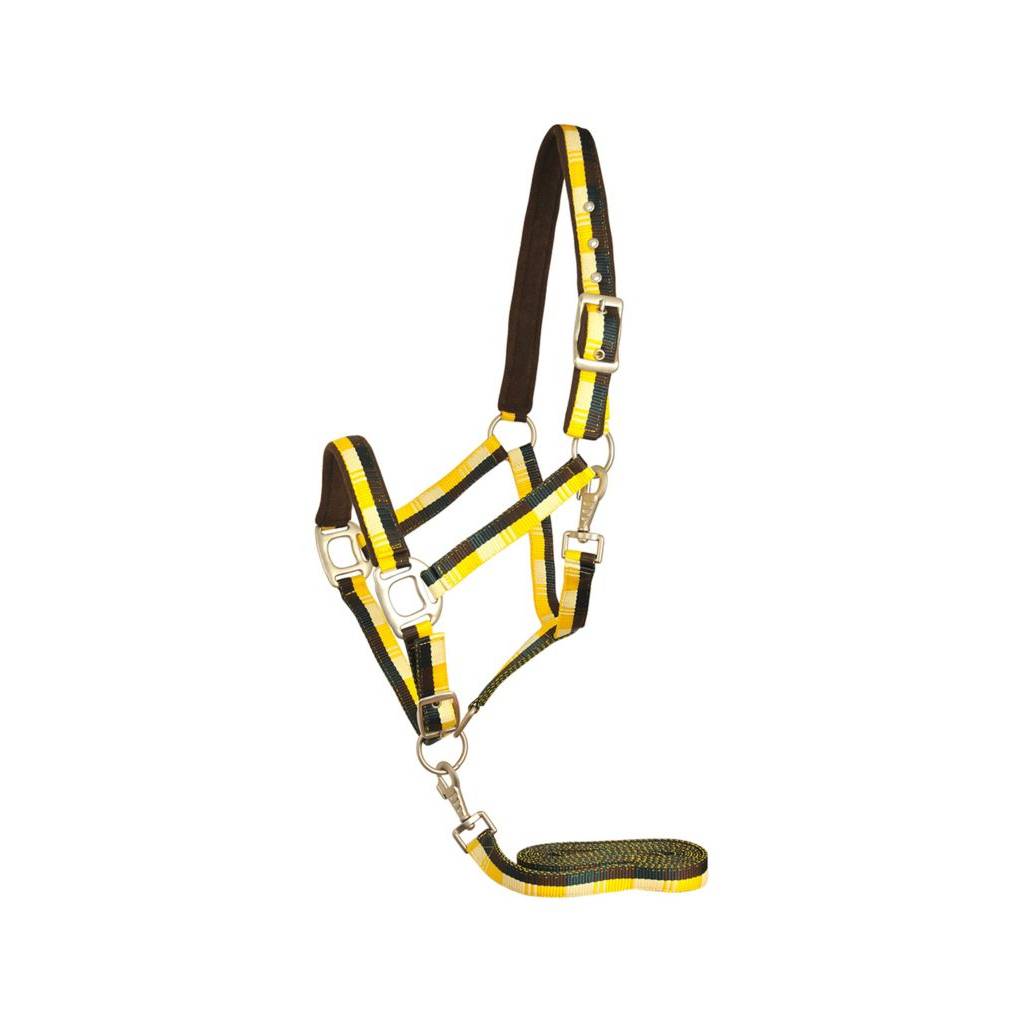 Gatsby Terra Fleece Padded Nylon Halter with Matching Lead