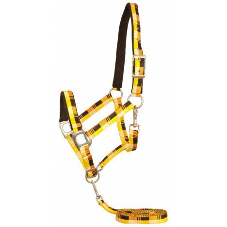 Gatsby Terra Fleece Padded Nylon Halter with Matching Lead