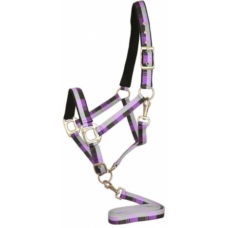 Gatsby Terra Fleece Padded Nylon Halter with Matching Lead