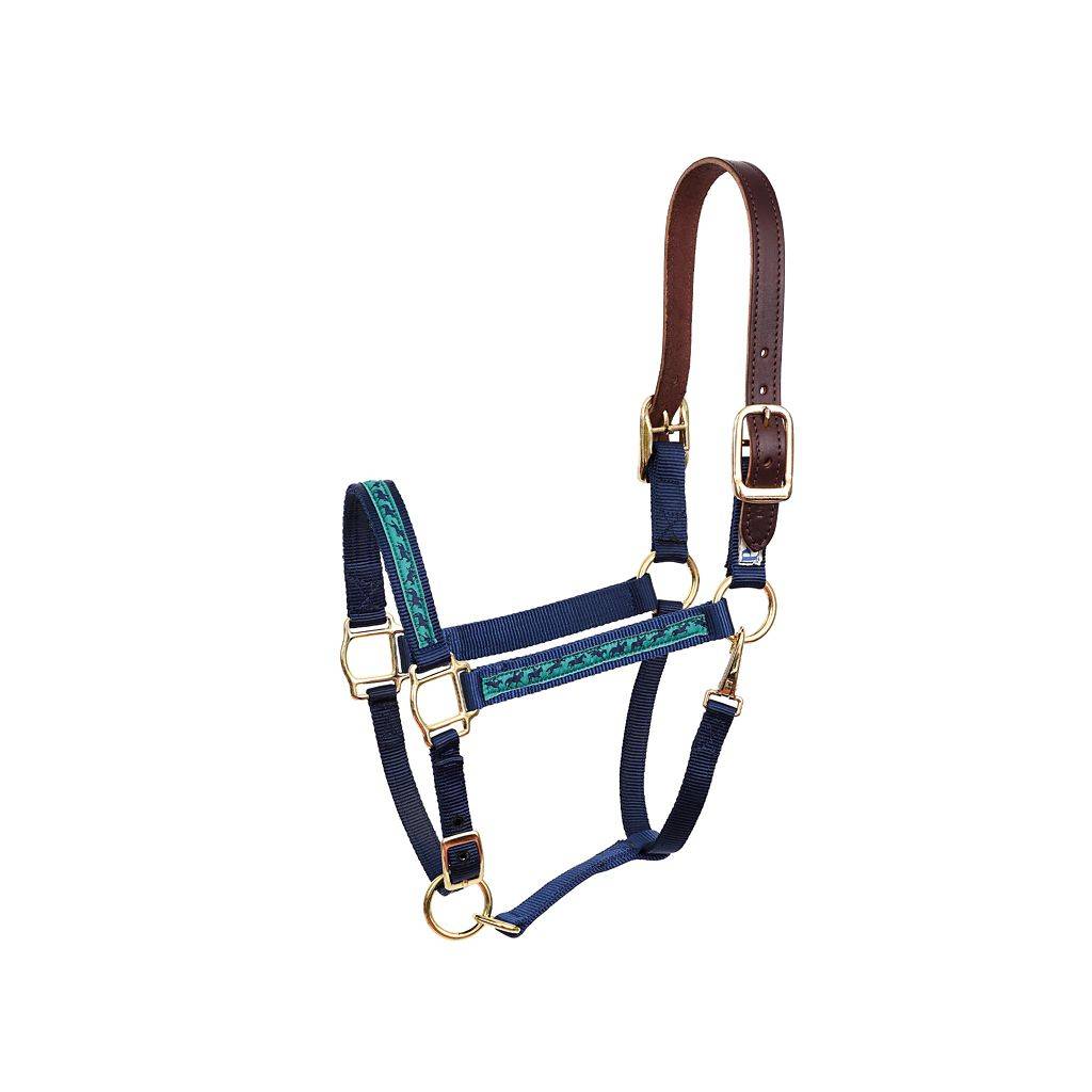 Perris Ribbon Safety Halter