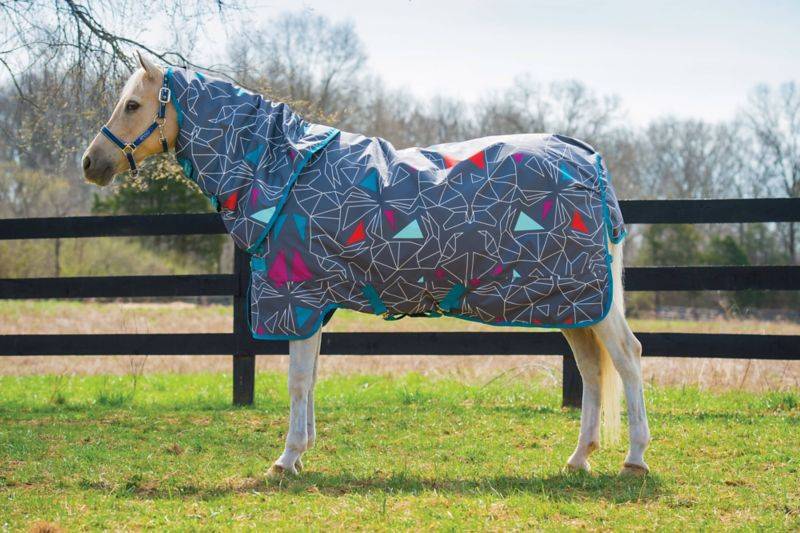 Amigo Pony Plus Turnout Blanket (0g Lite)