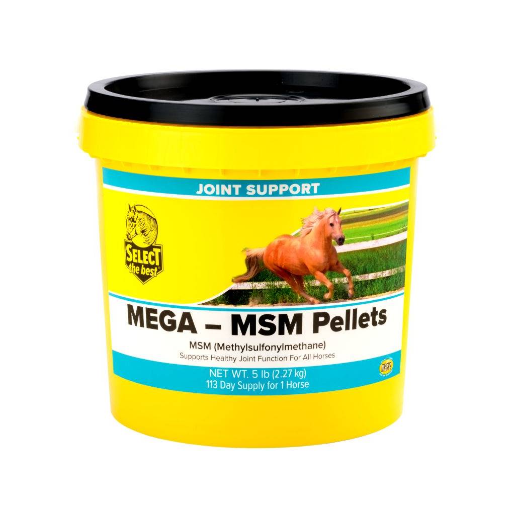 Select Mega MSM Supplement