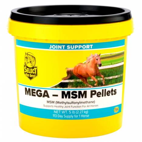 Select Mega MSM Supplement