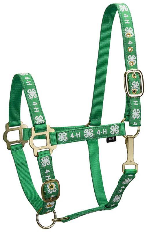 4H Classic Adjustable Nylon Halter with Snap