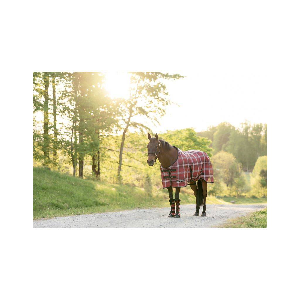 Kensington Horse Protective SureFit Fly Sheet