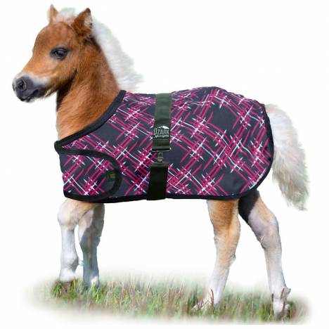 Ozark Mini Adjustable Foal Blanket