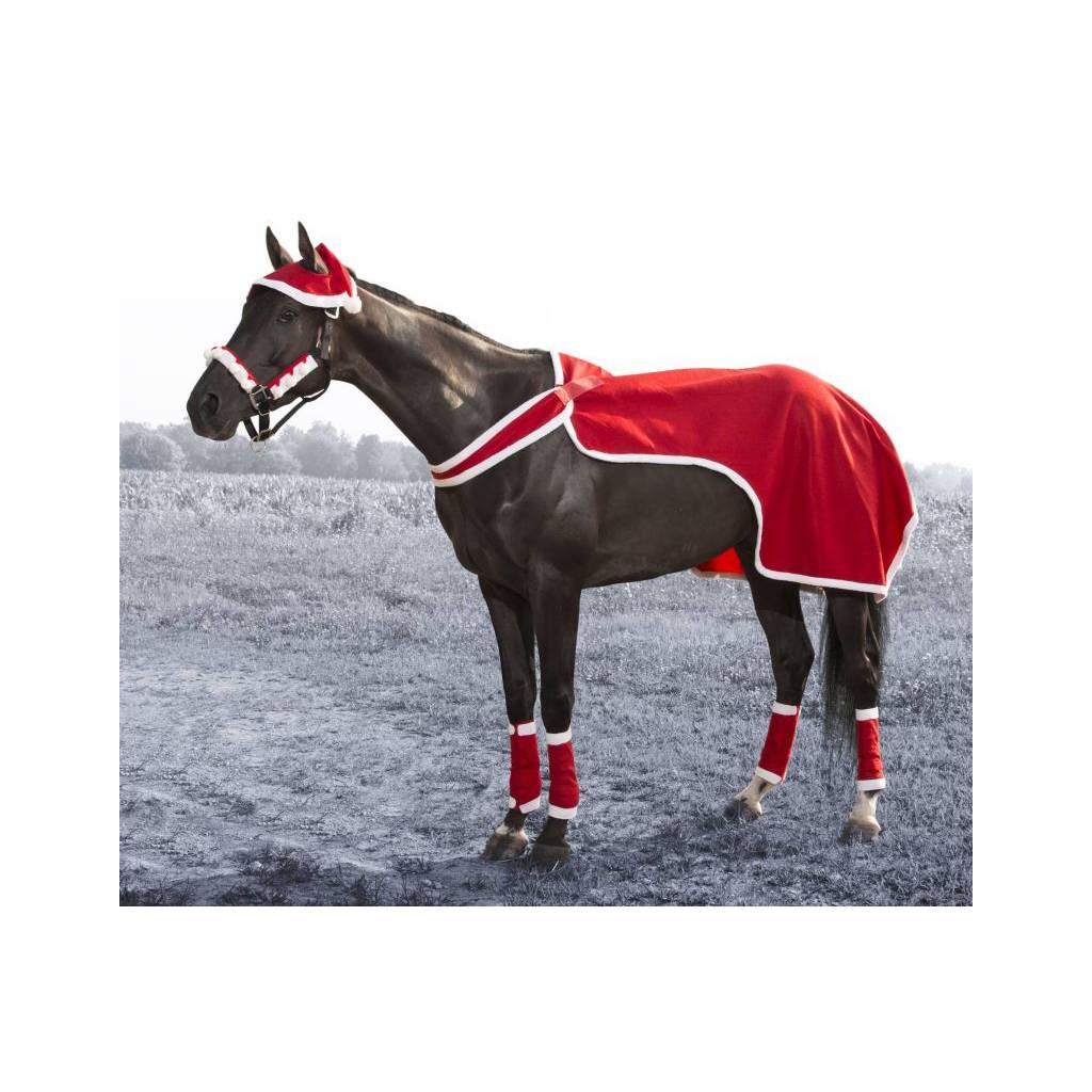Gift Corral Santa Sheet Set