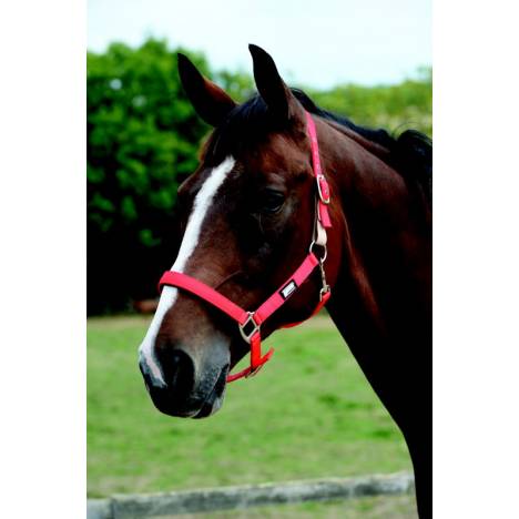 Roma Breakaway Headcollar Halter II