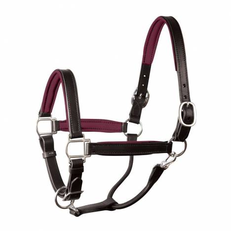 Perri's Soft Padded Leather Halter