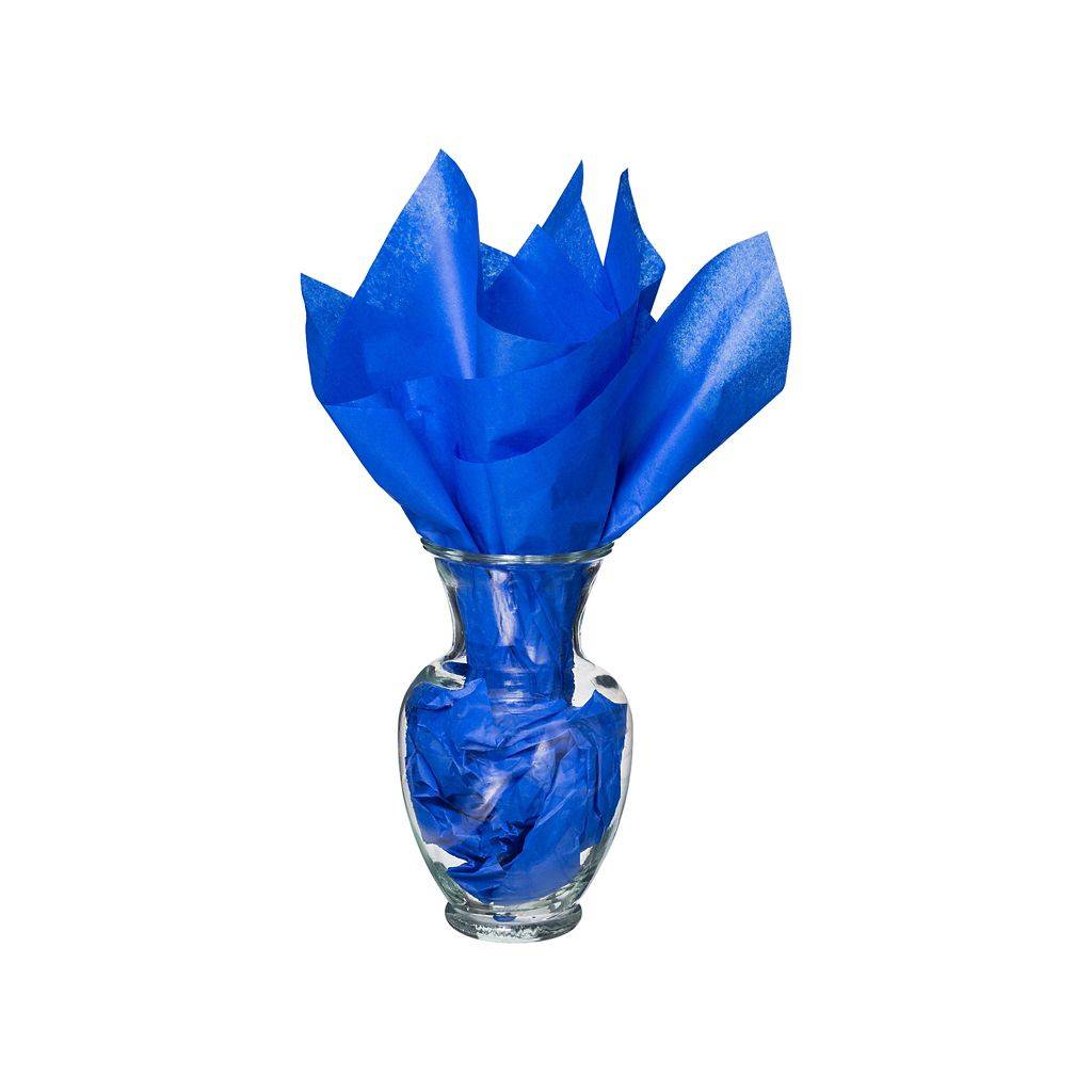 Horseshoe Gift Packaging Blue Ribbon Blue Tissue Paper