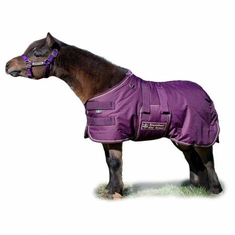 Ozark by Kensington Lightweight Waterproof Mini/Pony Blanket