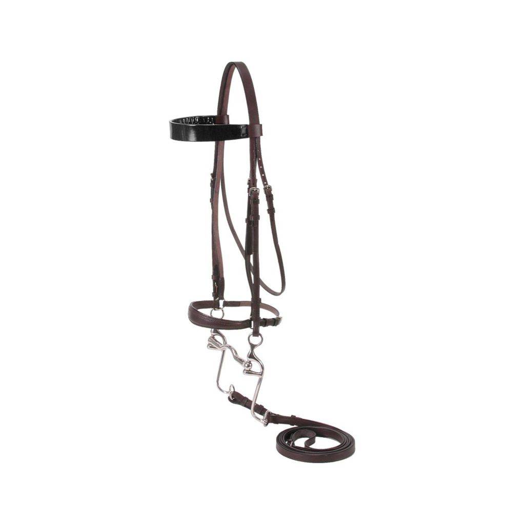 Silver Fox Walking Horse Bridle