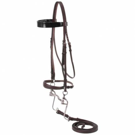 Silver Fox Walking Horse Bridle