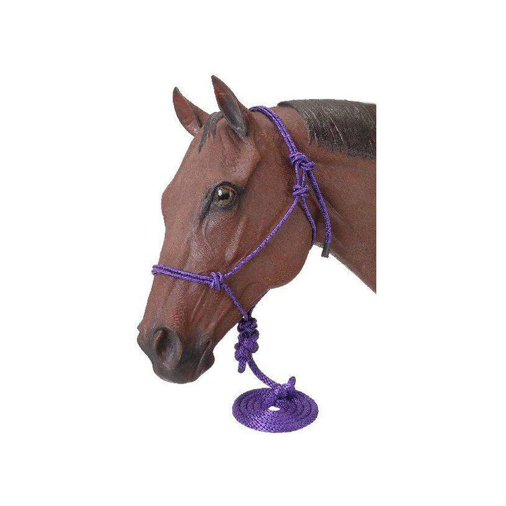 Tough1 Miniature Poly Rope Halters with Leads - 6 Pack
