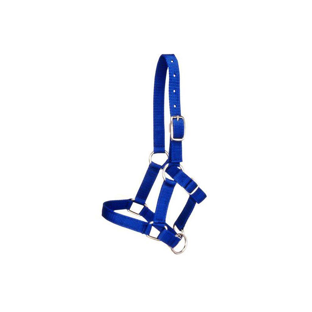 Tough-1 Miniature Halter 12 Pack