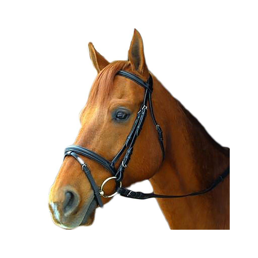 Exselle Elite Dressage Bridle