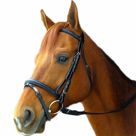 Exselle Elite Dressage Bridle