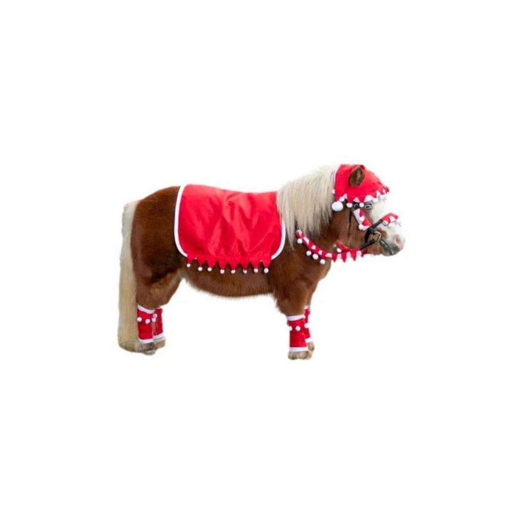 Tough1 Mini 5 Piece English Santa Set