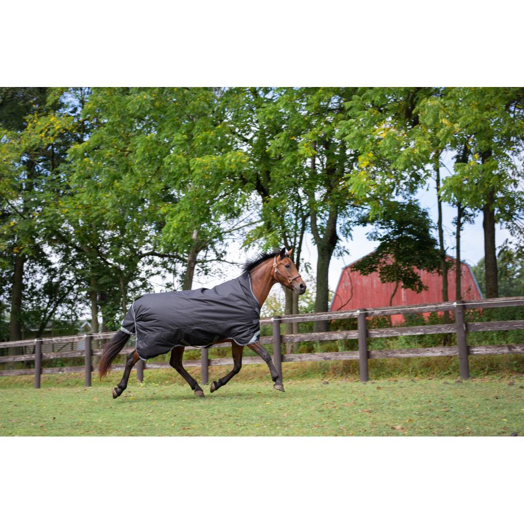 Defender Titanium 1200D High-Neck Turnout Sheet